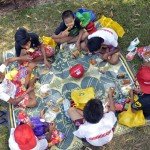 Day of Fun Picnic